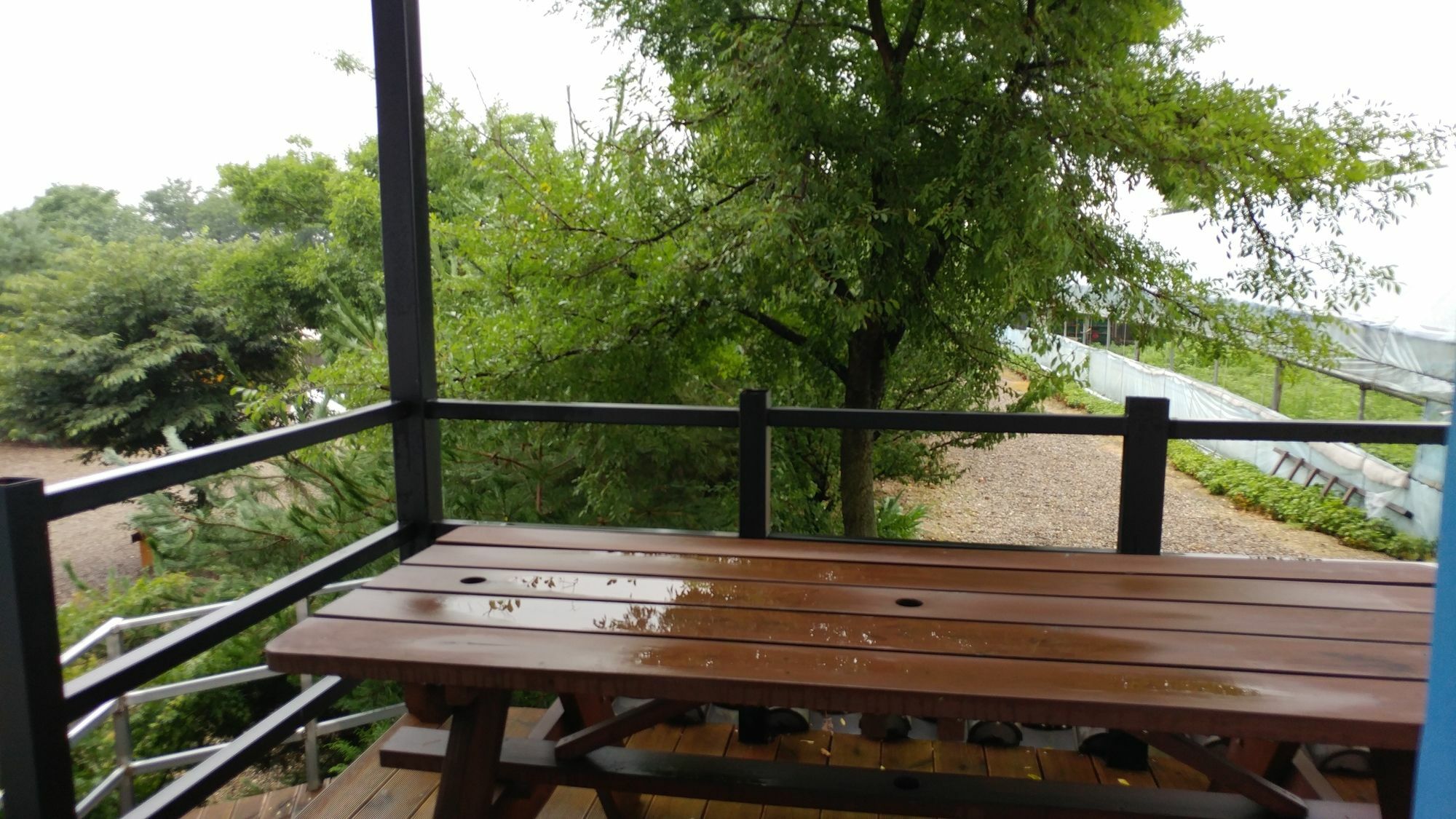 Chowoo Guesthouse Gyeongju Exterior photo